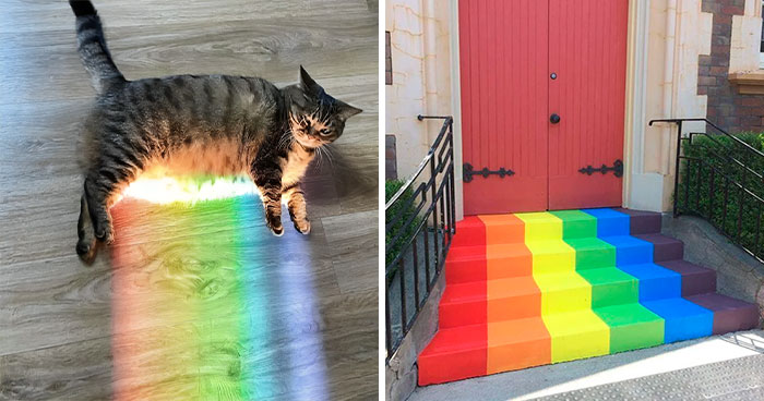 123 Of The Best Pics From The “Rainbow Everything” Online Group To Bring Color To Your Day
