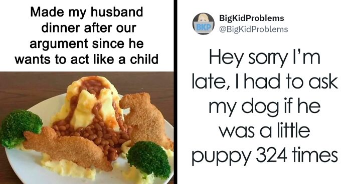 80 Hilariously Relatable Memes About Mostly Everything