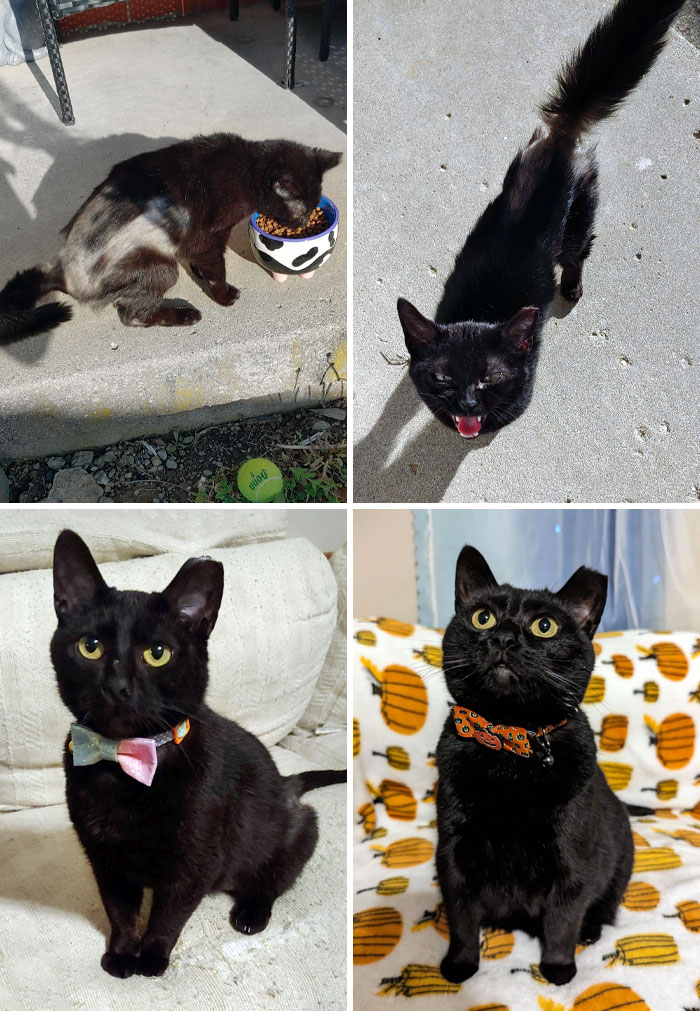 Nebula Found Me About Two Years Ago, And I'm So Happy She Did. Before And After