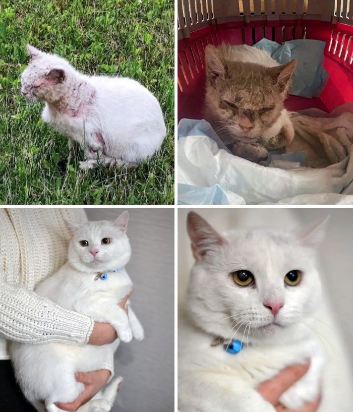 Casper's Before And After