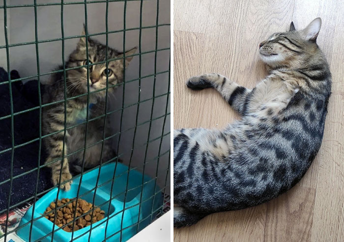 The First Day We Met Him vs. Now