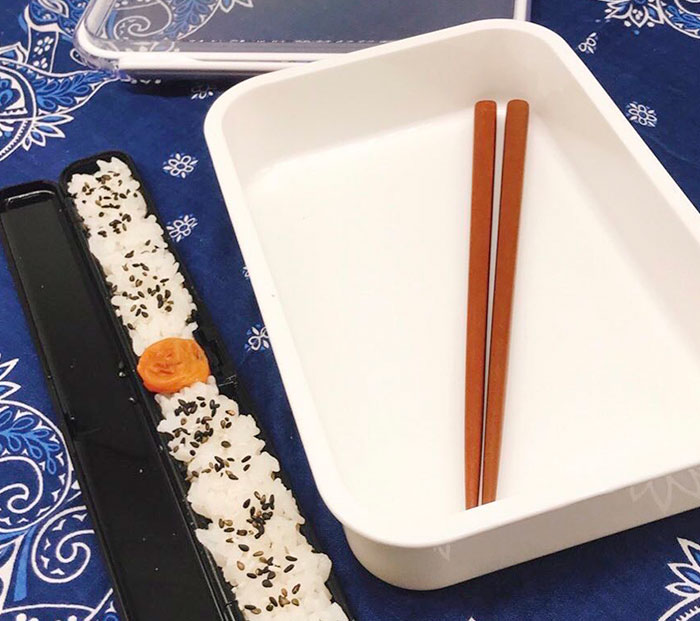 Bento Box Of A Japanese Husband The Day After Quarreling With His Wife