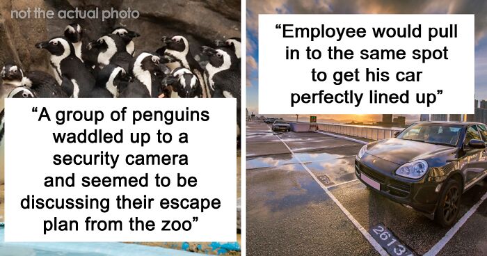 39 People Share The Weirdest Things They've Caught On Security Cameras That They Can't Forget