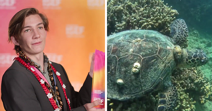 18YO Awarded $10K For Solving Why Local Hawaii Turtles Suffer From Cancer So Frequently