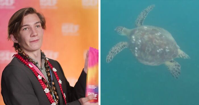 Netizens Are Proud Of This Student Who Won $10,000 For Solving Sea Turtle Crisis In His Hometown