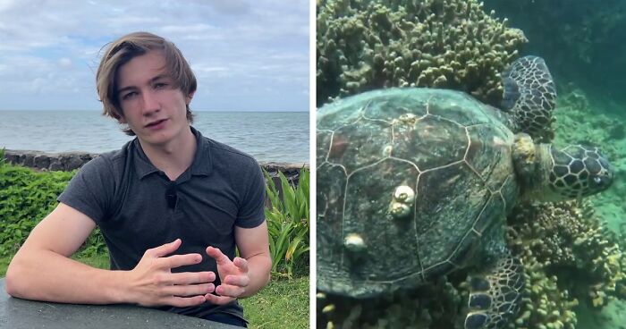 People Online Applaud This High Schooler Whose Science Project Ended Up Saving Green Sea Turtles