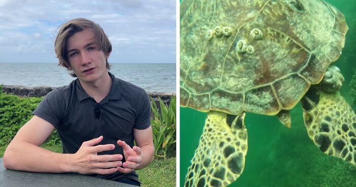 Student Starts Diving To Get Out Of Boredom During Covid, Ends Up Saving A Whole Sea Turtle Species