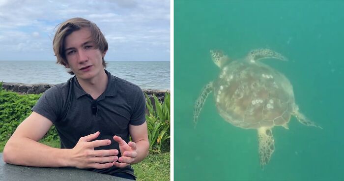 18YO Awarded $10K For Solving Why Local Hawaii Turtles Suffer From Cancer So Frequently