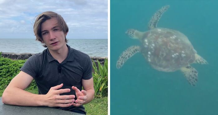 18YO Awarded $10K For Solving Why Local Hawaii Turtles Suffer From Cancer So Frequently