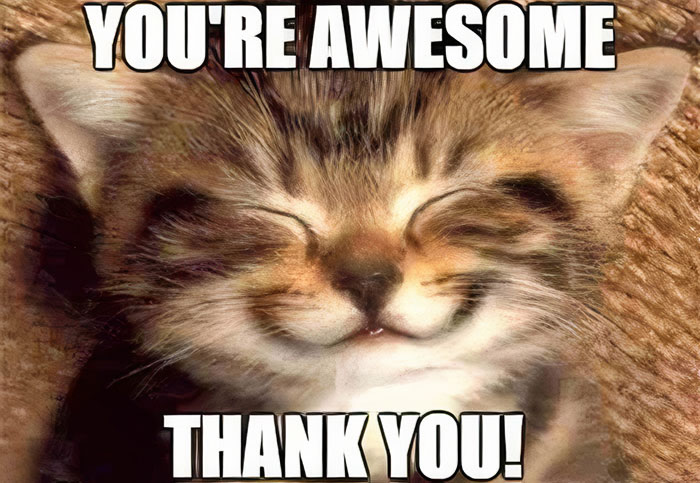 A cute kitten with a smiling face and the text 'You're Awesome, Thank You!' conveying a heartfelt gratitude message.