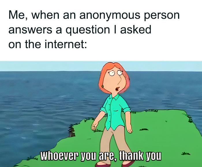 Cartoon character Lois Griffin from Family Guy standing on a cliff, with the caption: 'Me, when an anonymous person answers a question I asked on the internet: Whoever you are, thank you.' The meme humorously expresses gratitude for anonymous help online.