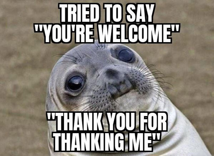 A meme featuring a close-up photo of a baby seal with a nervous expression. The text reads, "TRIED TO SAY 'YOU'RE WELCOME'" at the top, and "THANK YOU FOR THANKING ME'" at the bottom.