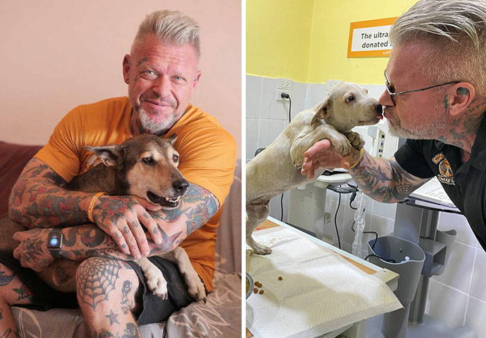 This Former Chef Is A Co-Founder Of A Nonprofit Rescue And Rehabilitation Center For Stray Dogs