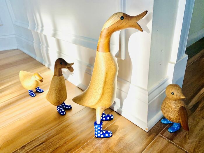  Garden Ducks : It's Ducks, With Boots. It Needs No Justification 