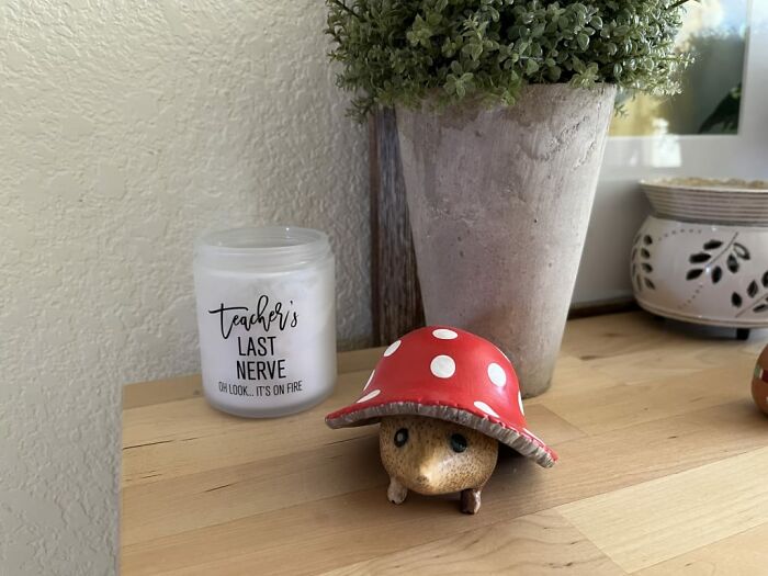 This Mushroom Garden Hedgie Is Too Cute To Pass Up!