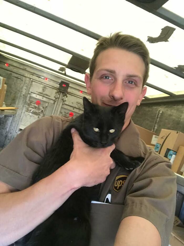 My Husband Eric Nocon Is A UPS Driver. Just Before Thanksgiving A Hungry Feral Kitten Hopped Up In His Truck Cuddly And Desperate For Food