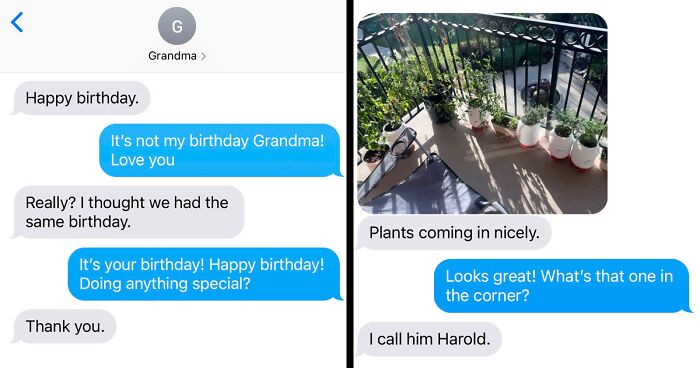 44 Wholesome Boomer Moments This Dedicated X Page Shared (New Pics)