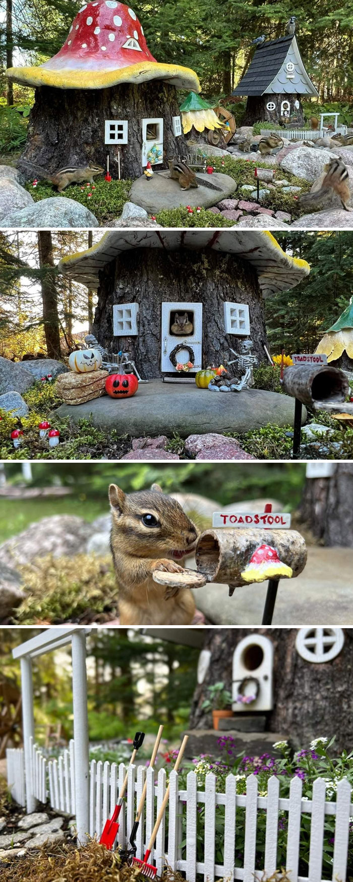 My Coworker Built A Feeding Station For His Local Chipmunks