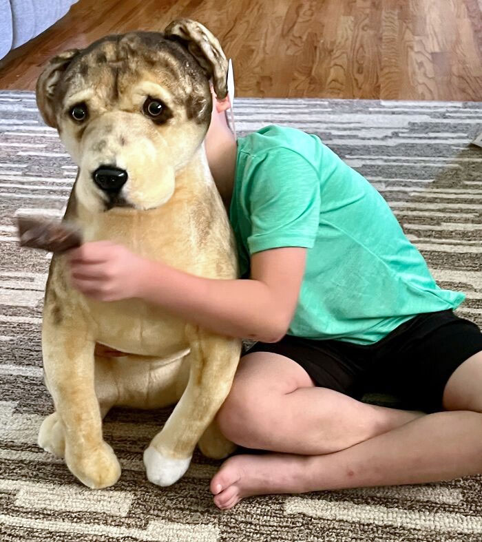 When Ryan Entered Foster Care, He Had To Leave Behind His Dog Karma, Who Had Comforted Him Every Night. Ryan’s Foster Mom And Advocate Made A Wish For A Custom-Lookalike Stuffy