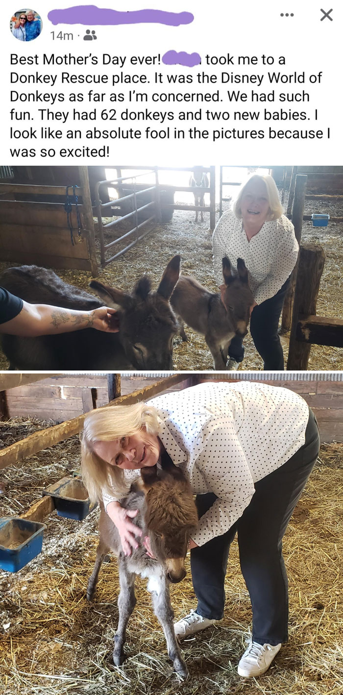 On The Internet I Asked Where I Could Take My Mom To Pet Some Donkeys For Mother's Day, And They Delivered! She Had The Best Day Ever