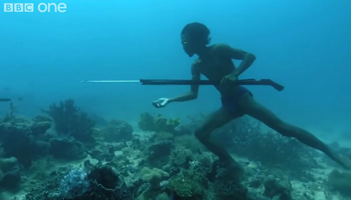 Bajau People Can Hold Their Breath For 13 Minutes Underwater Thanks To Rare Gene