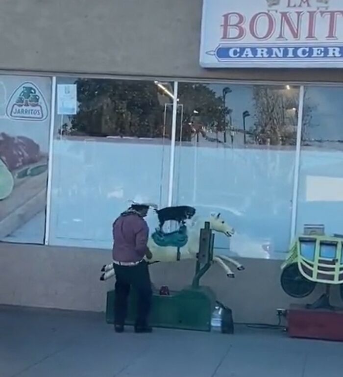 A dog riding a mechanical horse outside a store, creating a funny animal meme moment.