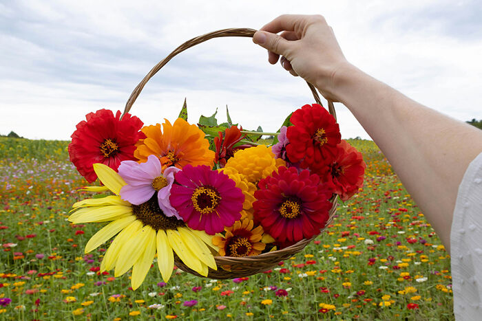 Hey Pandas, AITA For Teaching These Kids And Their Mothers A Lesson By Cutting Their Flowers?