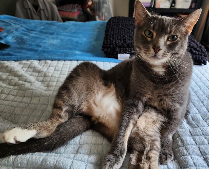 This Is My Beautiful 4 Year Old Boy, Merlin. He Loves To Sit Like This After He's Done Giving Himself A Bath. He'll Stay Like This For Up To ½ Hour. He's A Bit Special