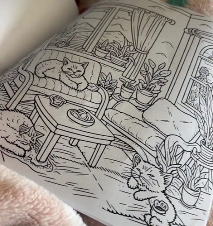 Woman Thinks She Bought A “Normal” Kitty Coloring Book, Starts Noticing Odd Things About It