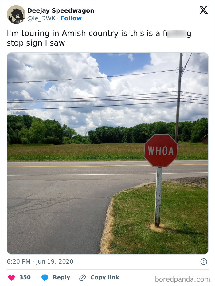 It Feels Like This Is To Tell People To Get Their Horses To Slow Down