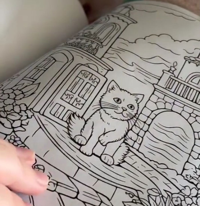 Woman Thinks She Bought A “Normal” Kitty Coloring Book, Starts Noticing Odd Things About It