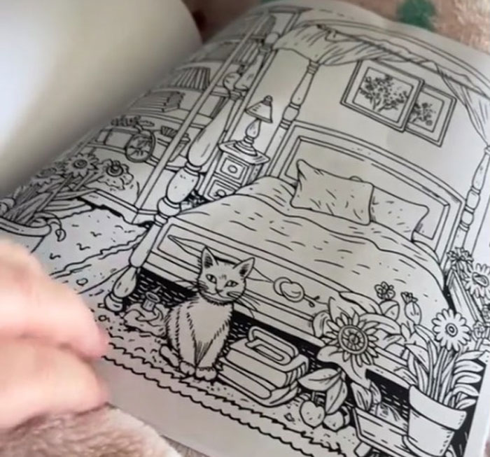 Woman Thinks She Bought A “Normal” Kitty Coloring Book, Starts Noticing Odd Things About It