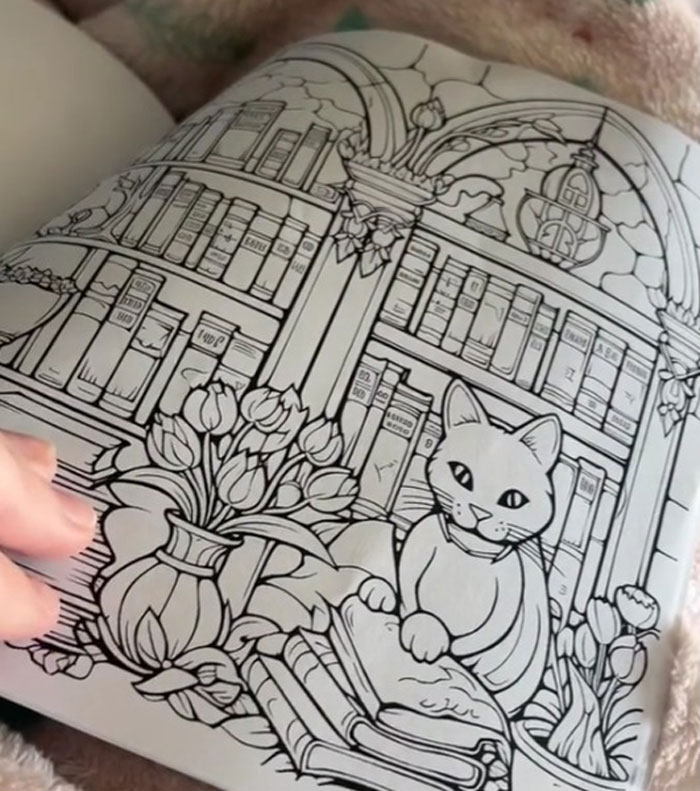 Woman Thinks She Bought A “Normal” Kitty Coloring Book, Starts Noticing Odd Things About It