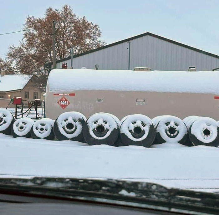 Nobody Knew How Happy These Tires Were Until It Snowed