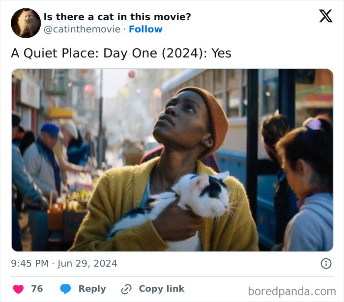 This Twitter Account Asks A Very Important Question: Is There A Cat In This Movie? (New Pics)