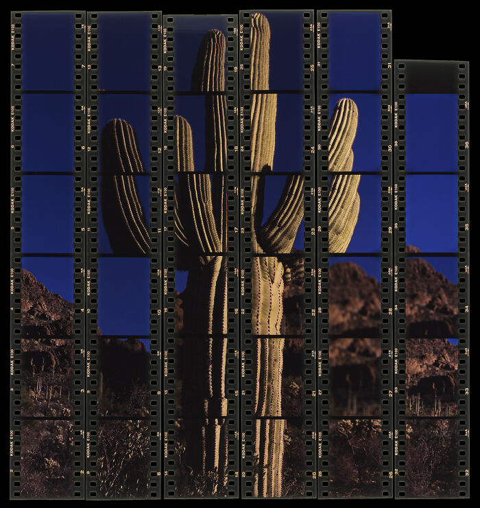 Honorable Mention: "The Sonoran Desert" By Gaspar Marquez