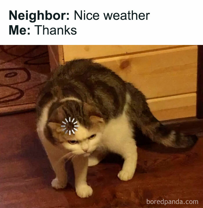 Cat standing with a confused expression and a loading symbol on its forehead. The caption humorously describes an awkward social interaction with a neighbor about the weather, ending with an inappropriate 'thanks' response.