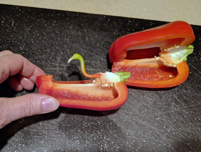 My Mom Found A Flamingo In Her Bell Pepper