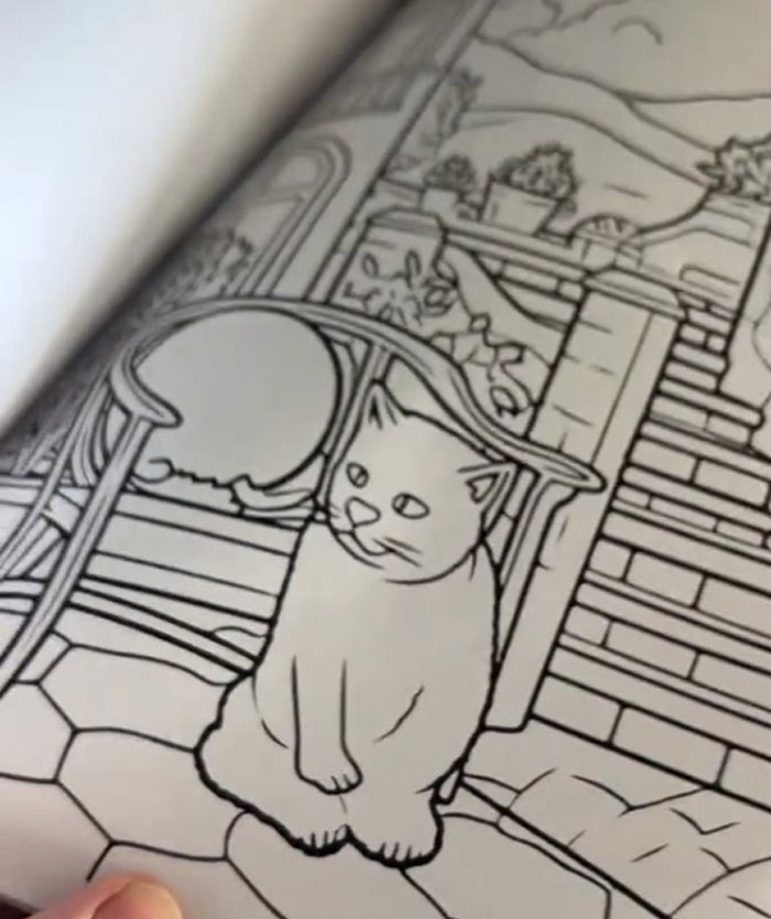 Woman Thinks She Bought A “Normal” Kitty Coloring Book, Starts Noticing Odd Things About It