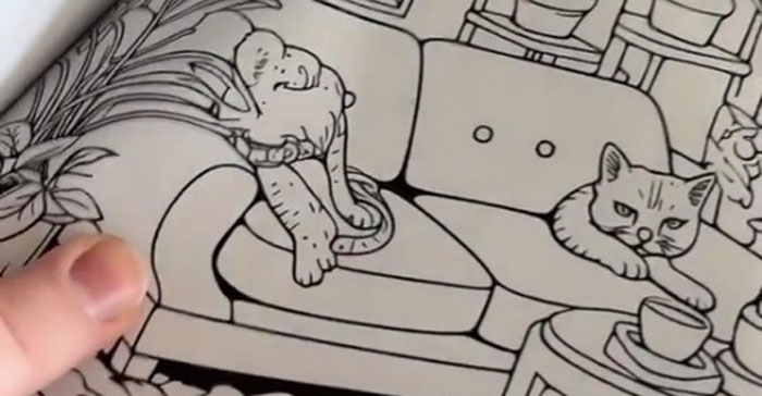 Woman Thinks She Bought A “Normal” Kitty Coloring Book, Starts Noticing Odd Things About It