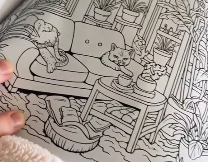 Woman Thinks She Bought A “Normal” Kitty Coloring Book, Starts Noticing Odd Things About It