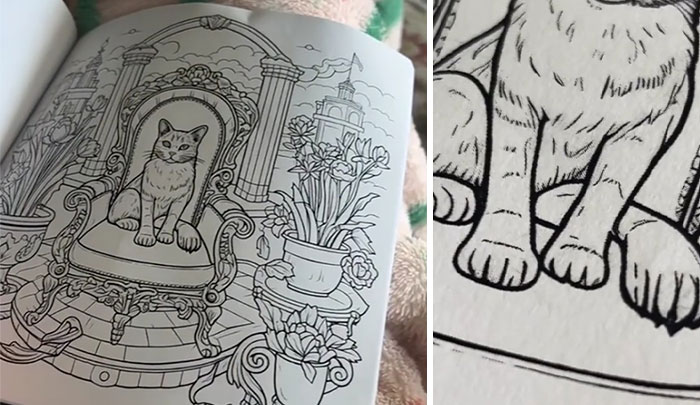 Woman Thinks She Bought A “Normal” Kitty Coloring Book, Starts Noticing Odd Things About It