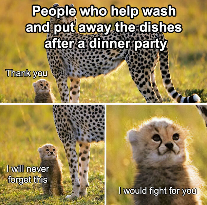 Cheetah cub expressing gratitude for dishwashing help after a dinner party, with captions "Thank you," "I will never forget this," and "I would fight for you.