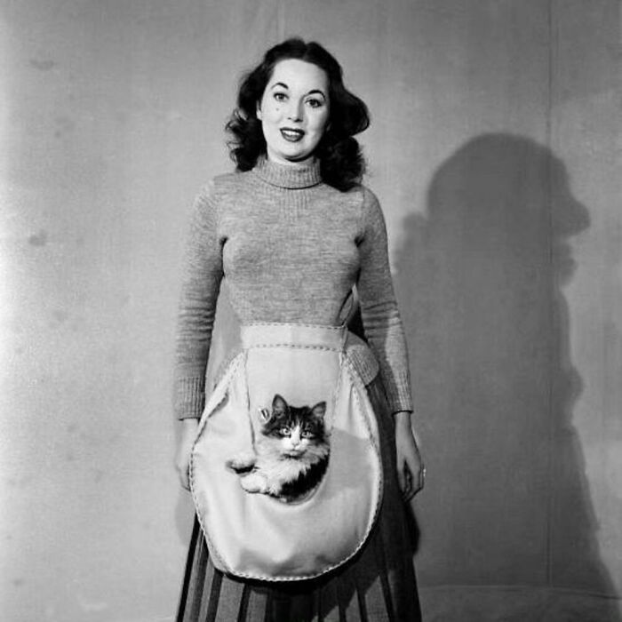 76 Vintage Photos Of Cats Posing With Famous People And Interesting Personalities (New Pics)