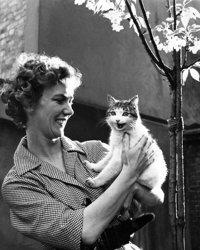 76 Vintage Photos Of Cats Posing With Famous People And Interesting Personalities (New Pics)