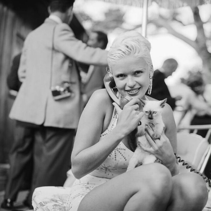 76 Vintage Photos Of Cats Posing With Famous People And Interesting Personalities (New Pics)