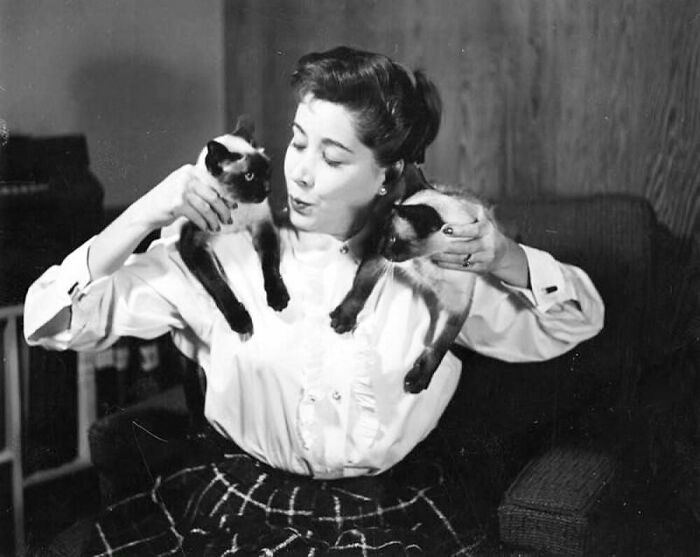 76 Vintage Photos Of Cats Posing With Famous People And Interesting Personalities (New Pics)