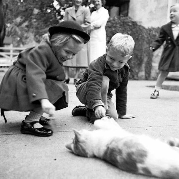 76 Vintage Photos Of Cats Posing With Famous People And Interesting Personalities (New Pics)