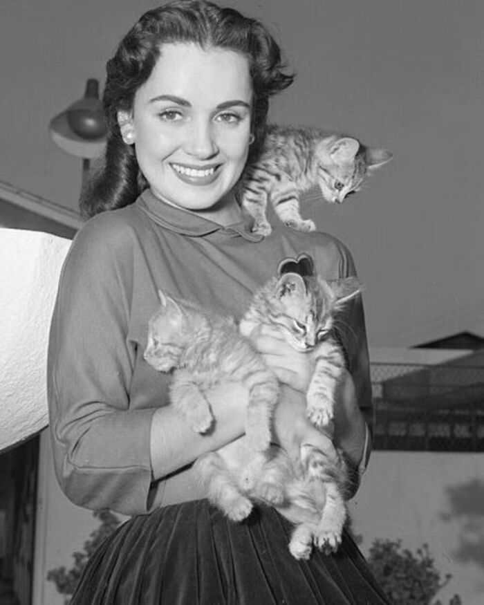 76 Vintage Photos Of Cats Posing With Famous People And Interesting Personalities (New Pics)