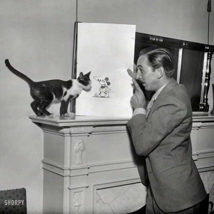 76 Vintage Photos Of Cats Posing With Famous People And Interesting Personalities (New Pics)